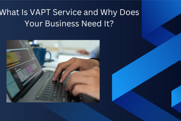 VAPT Service in Singapore